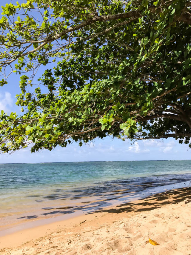 Serene and peaceful Anini Beach just outside of Kilauea, Kauai.
