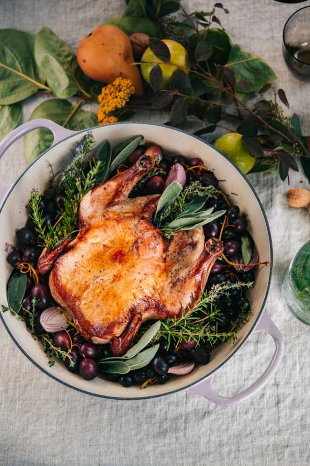 This Red Wine Roast Chicken with Grapes and Herbs is an easy, showstopper entree for fall dinners or holiday entertaining.
