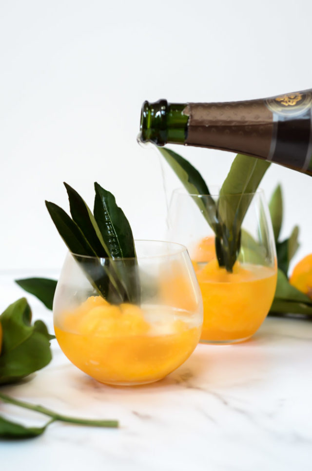 These Tangerine Sorbet Mimosas are made from the season's best tangerines plus loads of other citrus to make the perfect New Year's Day cocktail!
