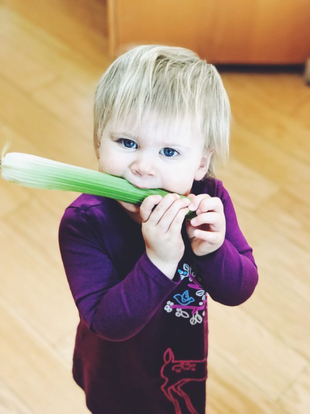 A happy toddler gnawing on an entire stalk of celery.